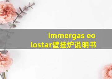 immergas eolostar壁挂炉说明书